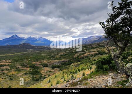 Vista sul Lago Sofía vicino a Puerto Natales, Patagonia, Cile, Sud America Foto Stock