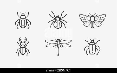 Set di icone insetti. Animali in stile lineare, illustrazione vettoriale Illustrazione Vettoriale