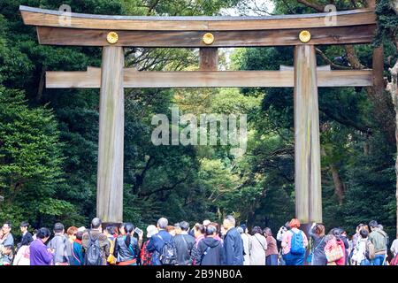 Vecchio cancello di legno di torii per entrare nel terreno del santuario Foto Stock