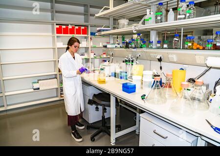 Scienziato in camice bianco da laboratorio in piedi da attrezzature Foto Stock