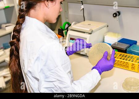 Ragazza con vetrino rotondo per microscopio in ospedale Foto Stock