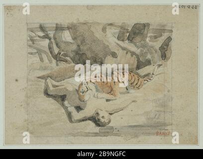 Tigre divorare un uomo Antoine-Louis Barye (1796-1875). Tigre dévorant un homme. Aquarelle et mine de plomb. Musée des Beaux-Arts de la Ville de Paris, Petit Palais. Foto Stock