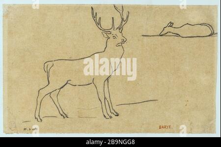 Stag in piedi a destra Antoine-Louis Barye (1796-1875). Cerf defout à droite. Mine de plomb sur papier calque. Musée des Beaux-Arts de la Ville de Paris, Petit Palais. Foto Stock