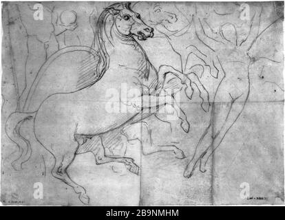 APOTHEOSE NAPOLEON IER: CAVALLO Jean Auguste Dominique Ingres (1780-1867). "Apothéose de Napoléon: Le cheval". Musée des Beaux-Arts de la Ville de Paris, Petit Palais. Foto Stock