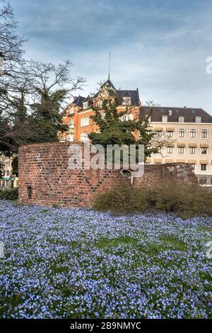 Una primavera a Copenhagen Foto Stock