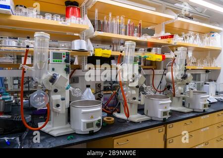 Cambridge ma USA - circa Marzo 2020 - evaporatori rotativi in laboratorio Foto Stock