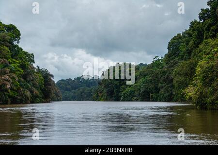 Gita in barca nei canali di Tortuguero in Costa Rica Foto Stock