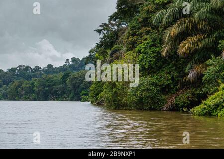 Gita in barca nei canali di Tortuguero in Costa Rica Foto Stock