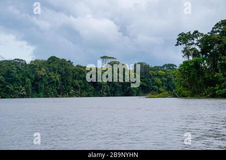 Gita in barca nei canali di Tortuguero in Costa Rica Foto Stock