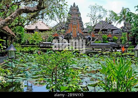 Il pura Taman Saraswati è un bellissimo tempio ad acqua nel centro di Ubud. Il suo splendido foyer presenta laghetti pieni di lotte rosa fiorite. Foto Stock