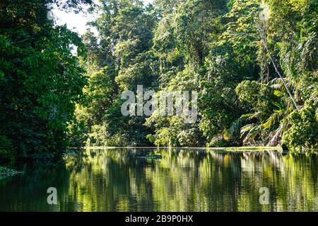 Gita in barca nei canali di Tortuguero in Costa Rica Foto Stock