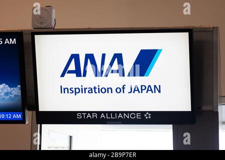 San Jose, Stati Uniti. 25 Feb 2020. Tutti i Nippon Airways o il logo ANA visto al Norman Y. Mineta San Jose International Airport. Credit: Alex Tai/SOPA Images/ZUMA Wire/Alamy Live News Foto Stock