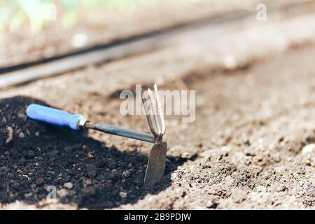 zappa da giardino piccola e rastrello su terreno preparano per seminare Foto Stock