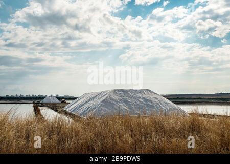 palo di sale alle saline - fuoco selettivo, spazio di copia Foto Stock