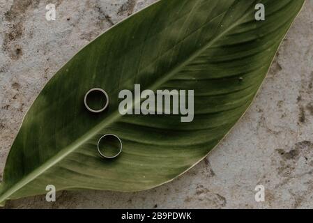 Anelli di nozze su una foglia verde Foto Stock