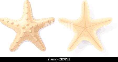 Vettore mare spiaggia oggetto clip art Illustrazione Vettoriale