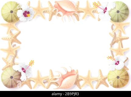 Cornice vettoriale tropicale seashell clip art. Disegno geometrico Illustrazione Vettoriale