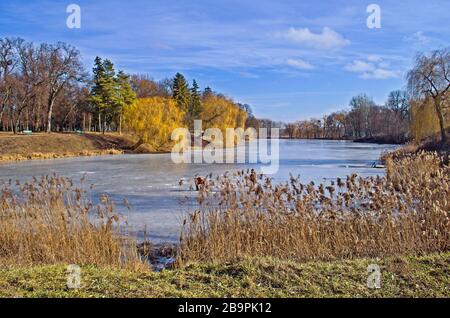 Paesaggio invernale con il lago ricoperto di ghiaccio Foto Stock