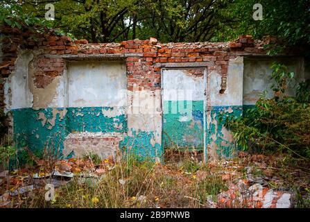 frammento di vecchia casa abbandonata in foresta profonda Foto Stock