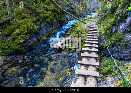 Ponte in legno e catene in acciaio recinzioni sul fiume in Slovensky Raj, Slovacchia Foto Stock