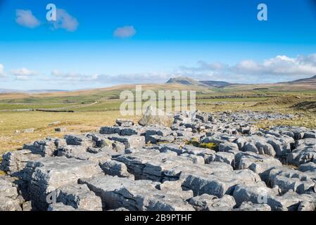 Winskill Stones e vista di Pen-Y-Ghent Foto Stock