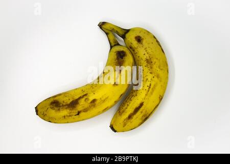 Banane leggermente più mature. Sono ancora adatti al consumo. Un esempio di cibo non sprecato che verrebbe gettato nel negozio Foto Stock