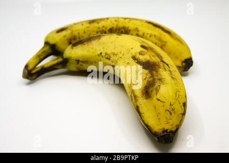 Banane leggermente più mature. Sono ancora adatti al consumo. Un esempio di cibo non sprecato che verrebbe gettato nel negozio Foto Stock