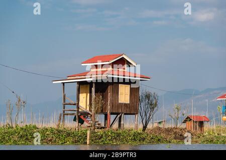 Lago Inle, Myanmar - Gennaio 2020: Tipico shack su palafitte, circondato da colture che sono coltivate su isole galleggianti artificiali intorno al lago Inle. Foto Stock