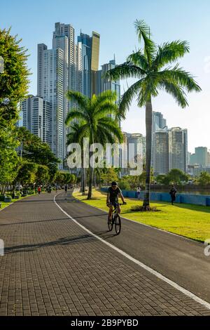 Mattina accanto a Balboa Avenue o Cinta Costera bayside Road ottenere pieno di jogging, ciclisti e pattinatori, Panama, America Centrale Foto Stock