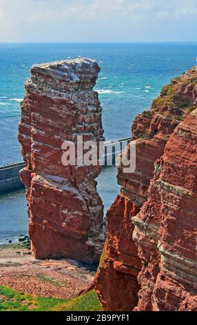"Lange Anna" punto di riferimento di Helgoland durante la stagione di allevamento, Mare del Nord, Germania Foto Stock