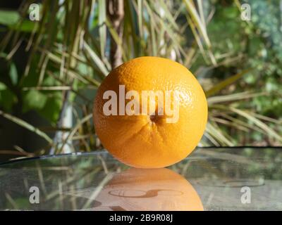 Particolare di un arancio su un tavolo di vetro a riflessione, contro piante verdi Foto Stock