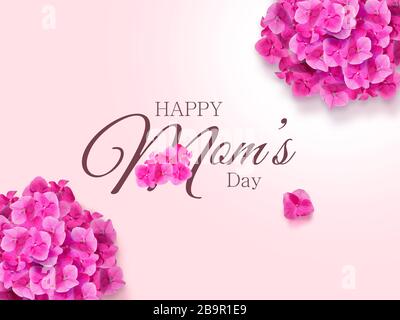 Hydrangea fiore disegno modificabile Foto Stock