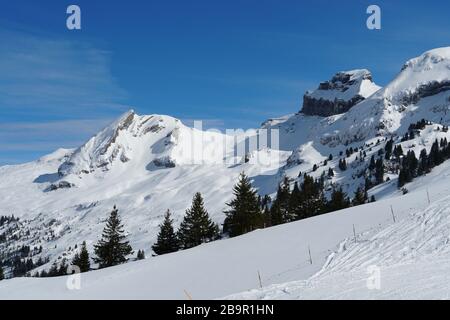 Piste innevate di Hoch Ybrig in Svizzera con vegetazione conifera di diverse dimensioni e nubi di cumuli sopra. Foto Stock