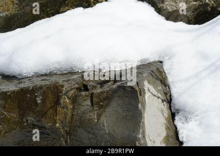 Uno strato di neve che si scioglie su una roccia in tempo di scongelamento. La roccia è bagnata, l'inverno sta per terminare. La primavera è in arrivo. Foto Stock