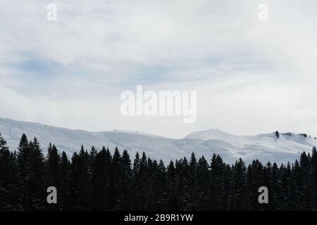 Piste da sci della località di Hoch Ybrig in Svizzera con foreste di conifere in primo piano. Foto Stock