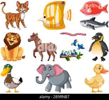 Grande set di diversi tipi di animali su sfondo bianco illustrazione Illustrazione Vettoriale