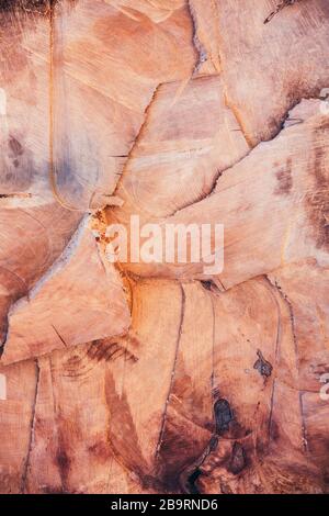 Verticale legno sfondo - Cutted Tree Trunk Close Up Foto Stock