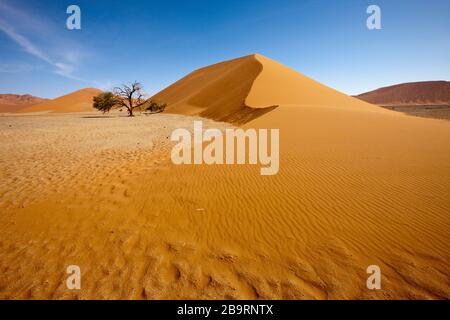 Dune 45 nella zona di Sossusvlei, Namib Naukluft Park, Namibia Foto Stock