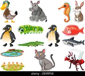 Grande set di diversi tipi di animali su sfondo bianco illustrazione Illustrazione Vettoriale