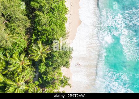 Seychelles Takamaka spiaggia Mahé Mahe isola natura vacanza paradiso oceano drone vista fotografia aerea Foto Stock