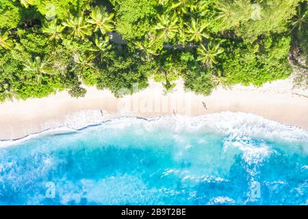 Seychelles spiaggia Mahé Mahe isola natura vacanza paradiso oceano drone vista fotografia aerea Foto Stock