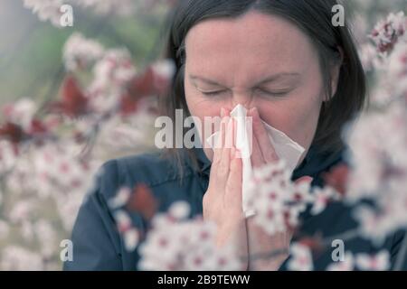 Allergia al polline dell'albero nel concetto di primavera, donna che soffia e pulendo il suo naso con fazzoletto di carta Foto Stock