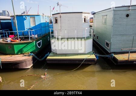 Houseboats ormeggiato su Cheyne Wharf, sul Tamigi da Chelsea Embankment, vicino a Cheyne Walk, Chelsea, Londra Foto Stock