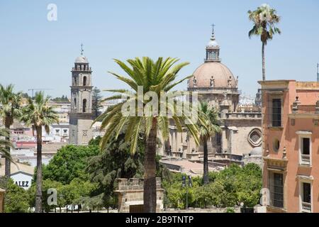 Vista oltre le palme del giardino dell'Alcazar verso la cupola della cattedrale di Jerez de la Frontera, Andalusia, Spagna Foto Stock