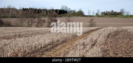 Wilcote, Oxfordshire, UK 03 21 2020 una scena rurale nell'Oxfordshire occidentale all'inizio della primavera Foto Stock