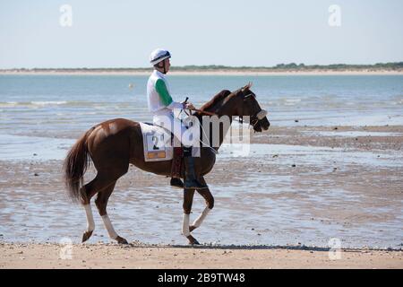Un cavallo e un cavaliere al meeting annuale di agosto horserace correre sulla spiaggia a Sanlucar de Barrameda, Cadice, Spagna. 3rd agosto 2017. Foto Stock