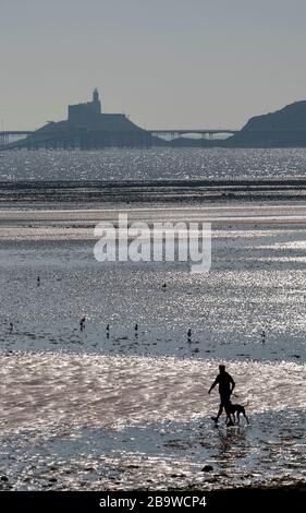 Swansea, Regno Unito, 25 marzo 2020. Un uomo cammina il suo cane sulla spiaggia come la gente ottiene il loro colpo di excercise quotidiano durante il blocco di Coronavirus nel tempo di primavera sbalorditivo a Mumbles vicino Swansea questo pomeriggio. Credit: Phil Rees/Alamy Live News Foto Stock