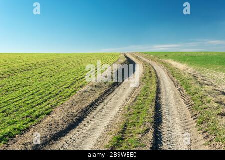Dirt road through sown fields, view on a sunny spring day Foto Stock