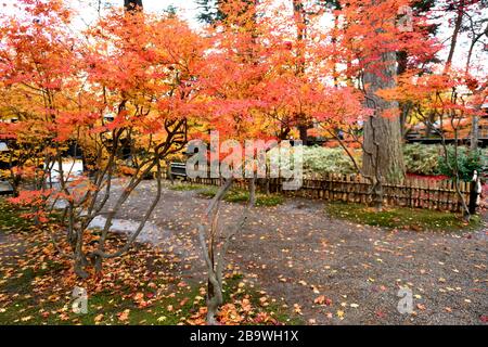 Kanunodate Akita Giappone Foto Stock