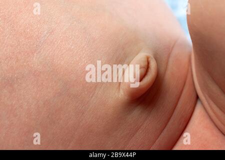 ombelico del neonato, immagine di primo piano Foto Stock